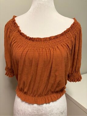 ZARA Burnt Orange Off-The-Shoulder Smocked Crop Top Size‎ Small